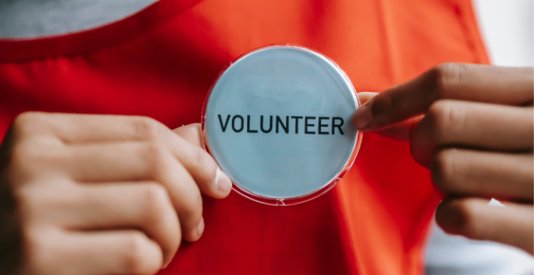 A person holding out a volunteer badge that is pinned to their Tshirt