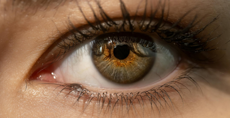 Photo of an eye