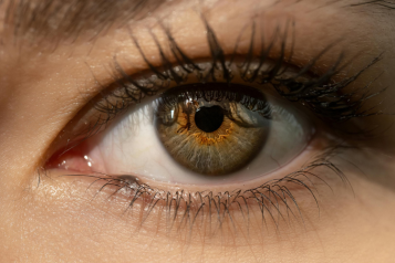 Photo of an eye