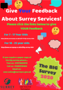 Flyer for survey