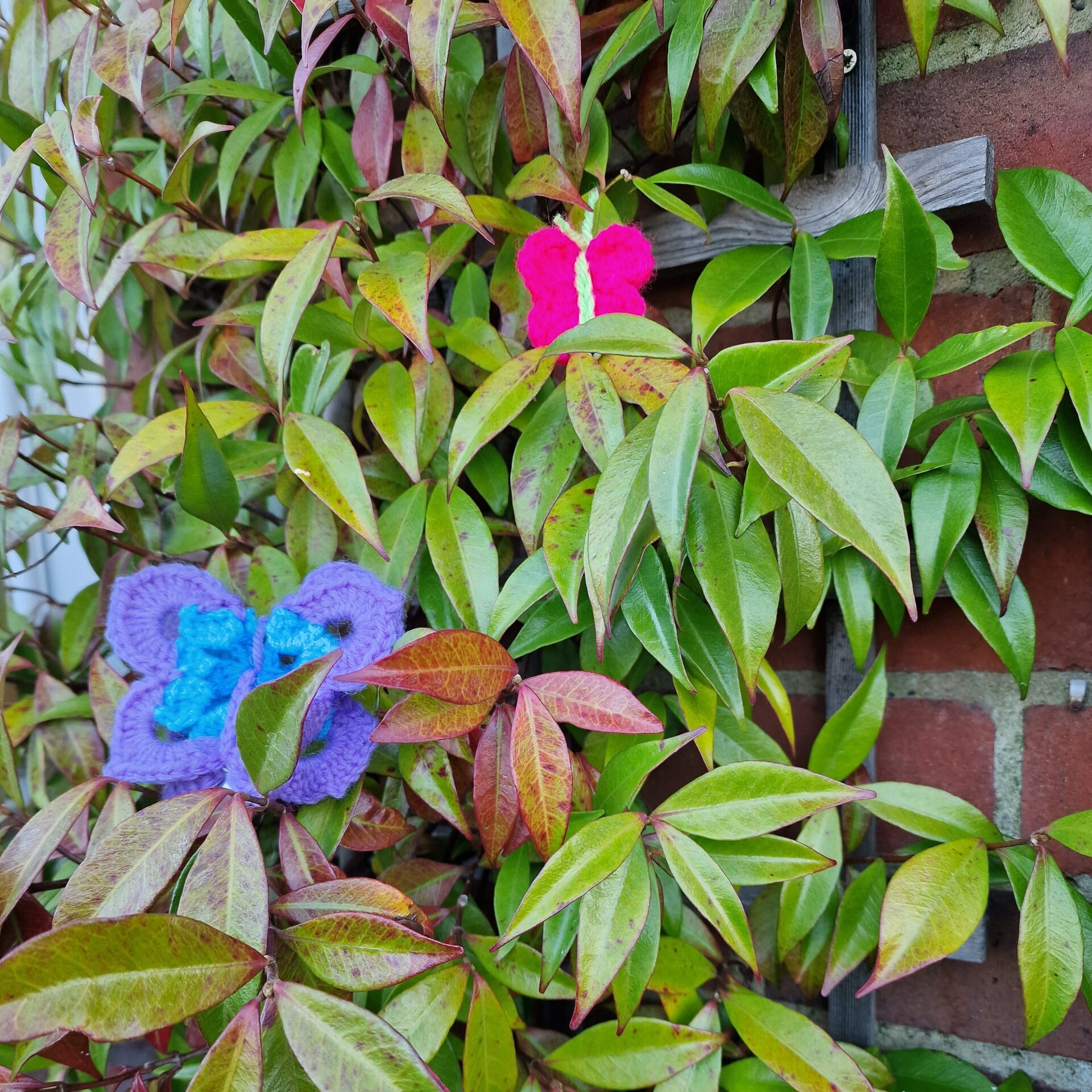 Crocheted butterflies are shown outside on a leafy bush